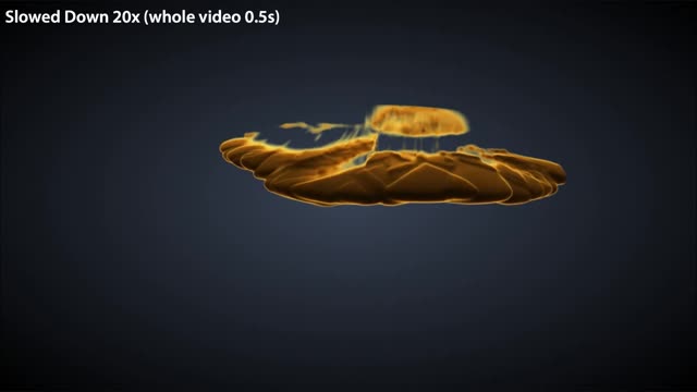 3D Dynamics of Rough Cracks