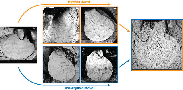 Fracture Heterogeneity and Roughness